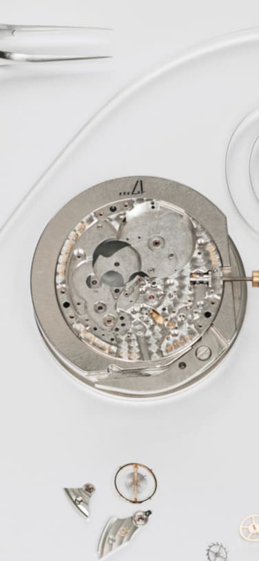 Maintenance and Service image