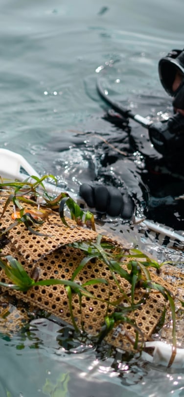 Two Posidonia divers on the surface of the sea