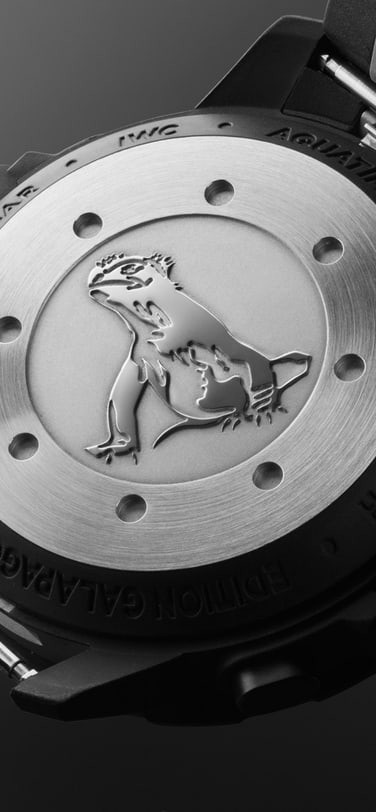 Aquatimer watch back.