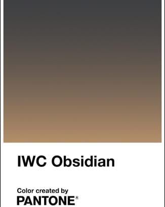 Pantone彩通色卡：“IWC万国表曜石黑”