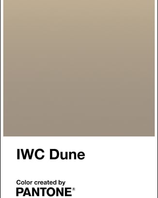 Pantone彩通色卡：“IWC万国表沙丘金”